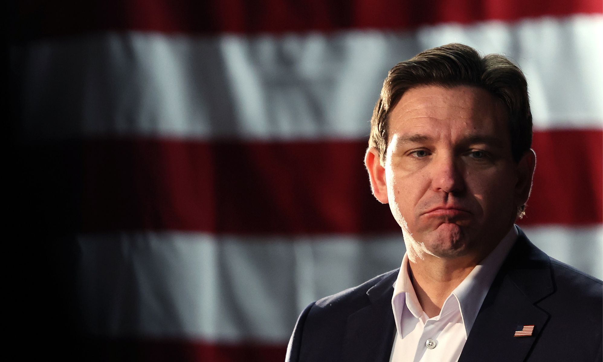 Ron DeSantis Team Likens Gay Penguin Book To Nazi Propaganda