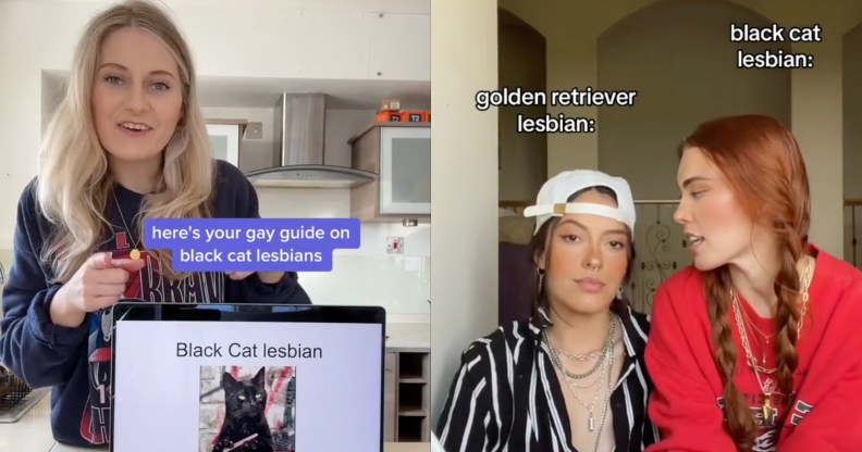 TikToks covering Black Cat Lesbian trend