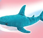 A Blahaj shark plushie photoshopped infront of a trans gradient.