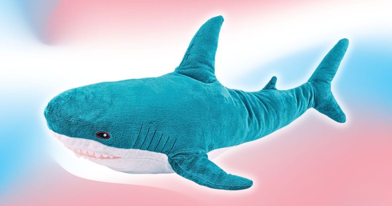 A Blahaj shark plushie photoshopped infront of a trans gradient.