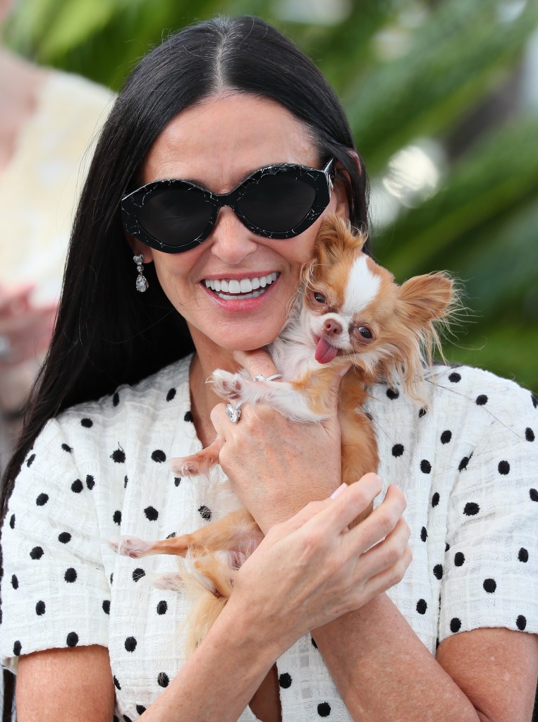 Demi Moore with her dog Pilaf