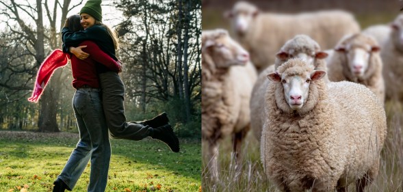 What is lesbian sheep syndrome?