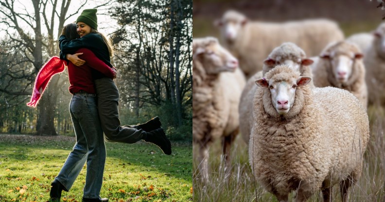 What is lesbian sheep syndrome?