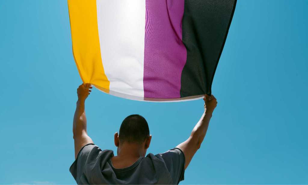 a person holding a non binary flag