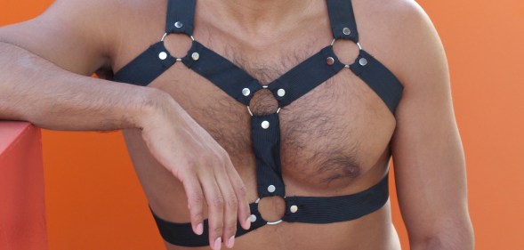 Man with leather harness outfit.
