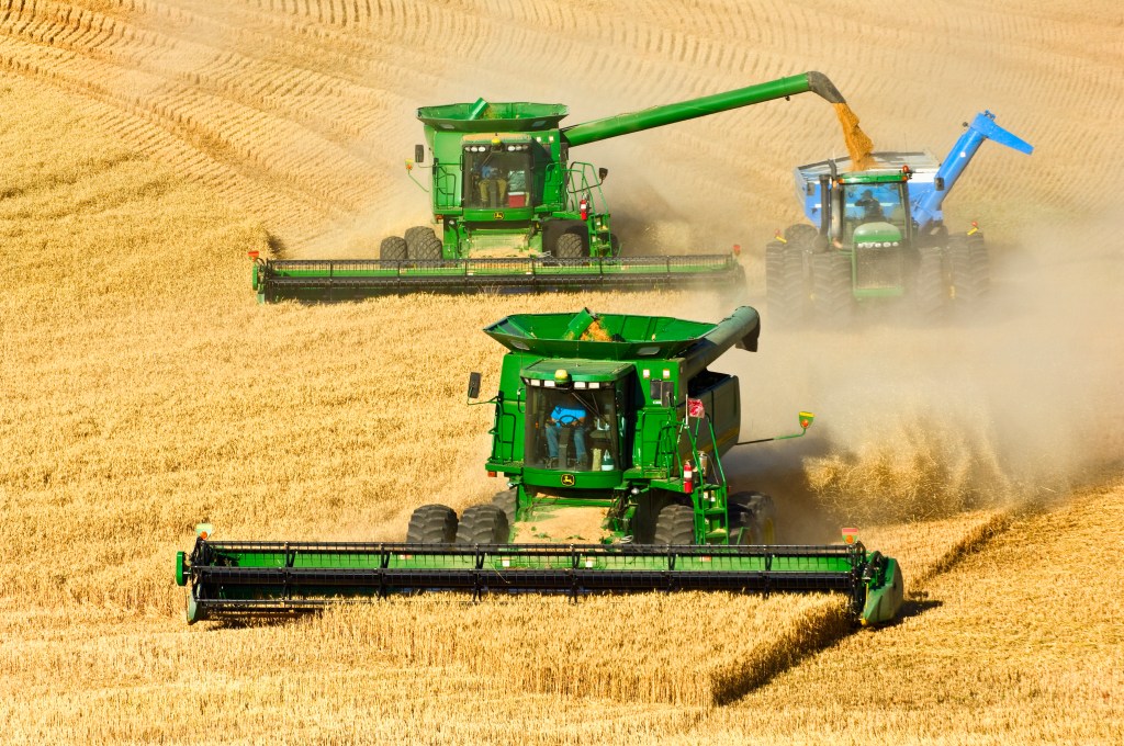 Two John Deere combines in tandem harvest wheat while one unloads into a grain cart.