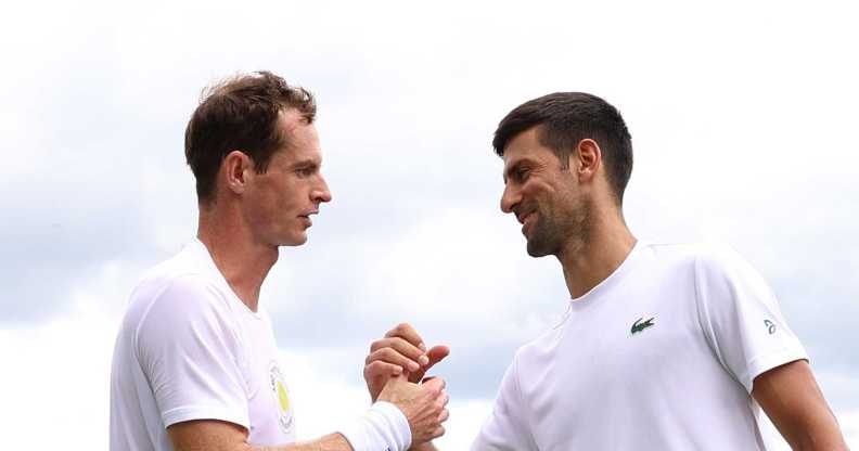 Novak Djokovic Andy Murray