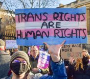 A person holds up a sign saying trans rights are human rights.