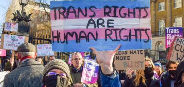 A person holds up a sign saying trans rights are human rights.