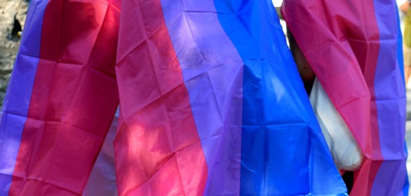 Bisexual pride flag in the gay pride parade