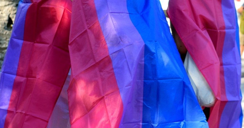 Bisexual pride flag in the gay pride parade