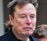 Elon Musk, pictured.