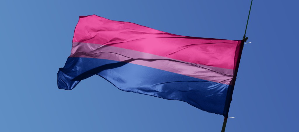 Bisexual Pride Flag flying against a blue sky, stripes of pink, purple and blue.