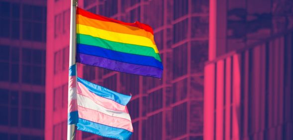 This is an image of the Pride flag flying above the Trans Pride flag outside an office building. The background has been altered to look fuschia.