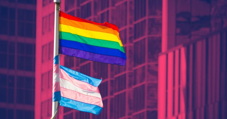 This is an image of the Pride flag flying above the Trans Pride flag outside an office building. The background has been altered to look fuschia.