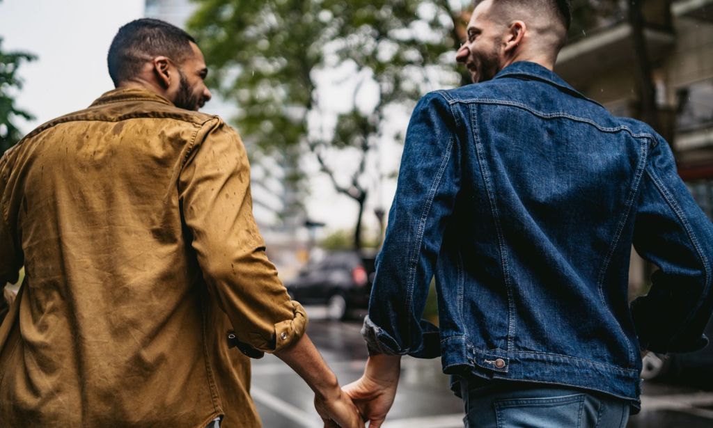 An LGBTQ+ couple holding hands. 