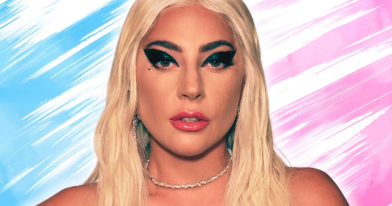 An edited photo of Lady Gaga infront of the colours of the trans flag.