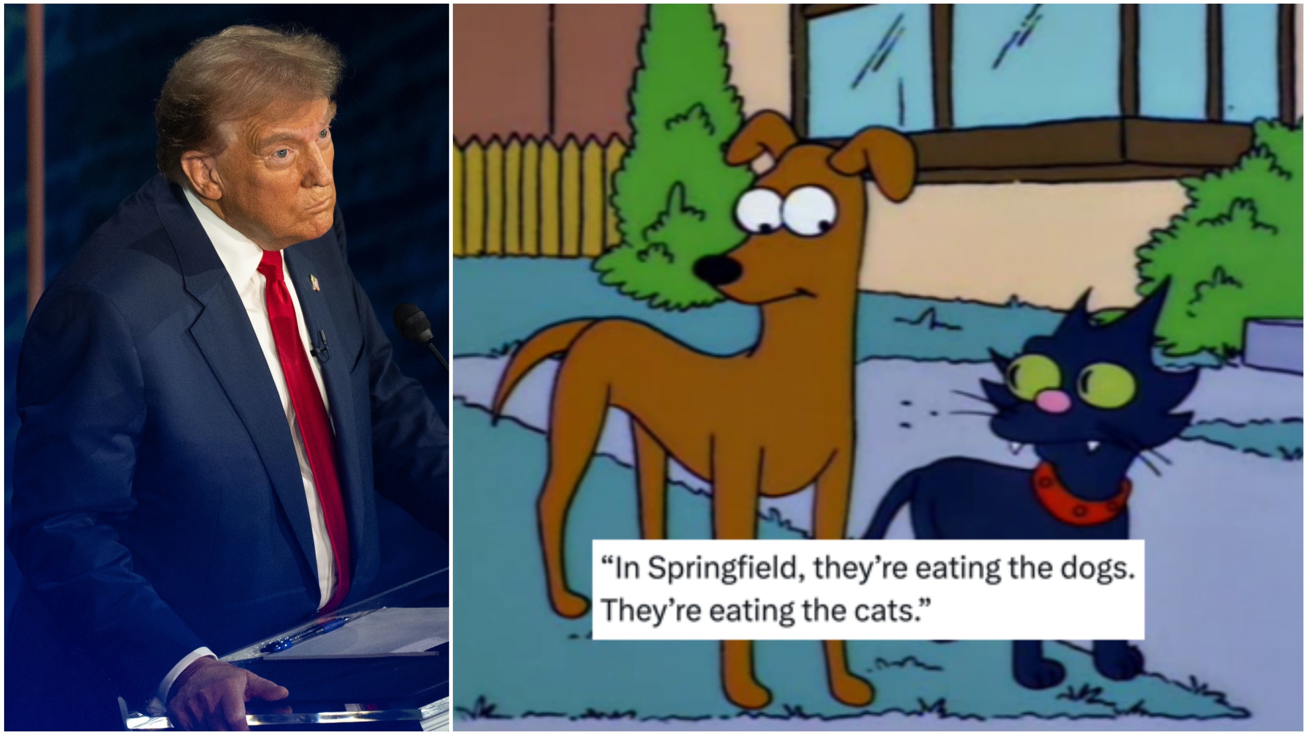 Memes abound after Trump falsely claims migrants are eating dogs