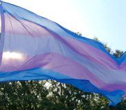 Stock image of a trans flag against a sunny background