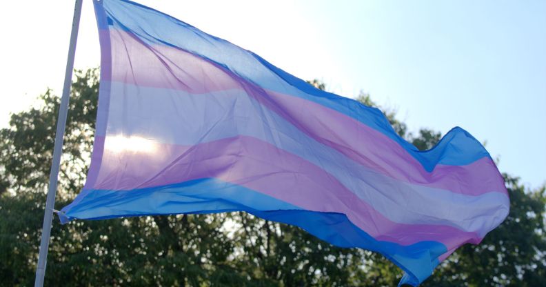 Stock image of a trans flag against a sunny background