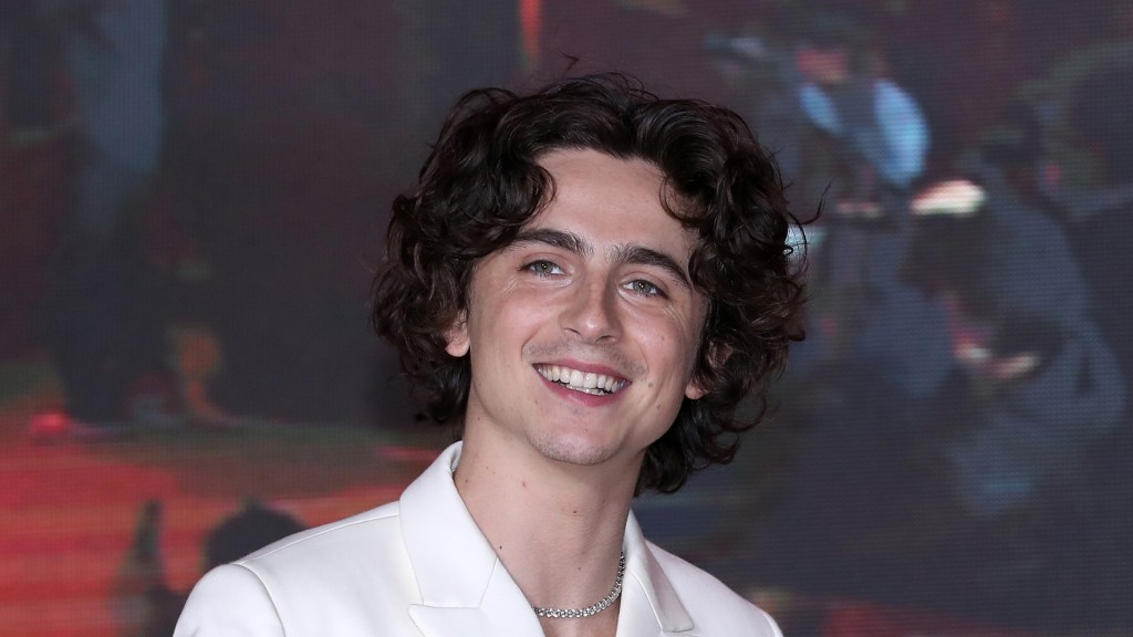 Actor Timothee Chalamet attends the "Dune: Part Two" Seoul Premiere in Seoul, South Korea.