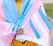 A person holding a trans flag.