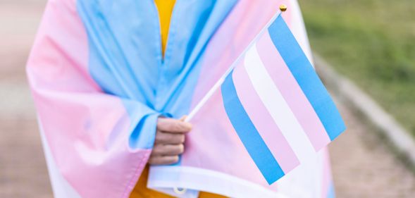 A person holding a trans flag.