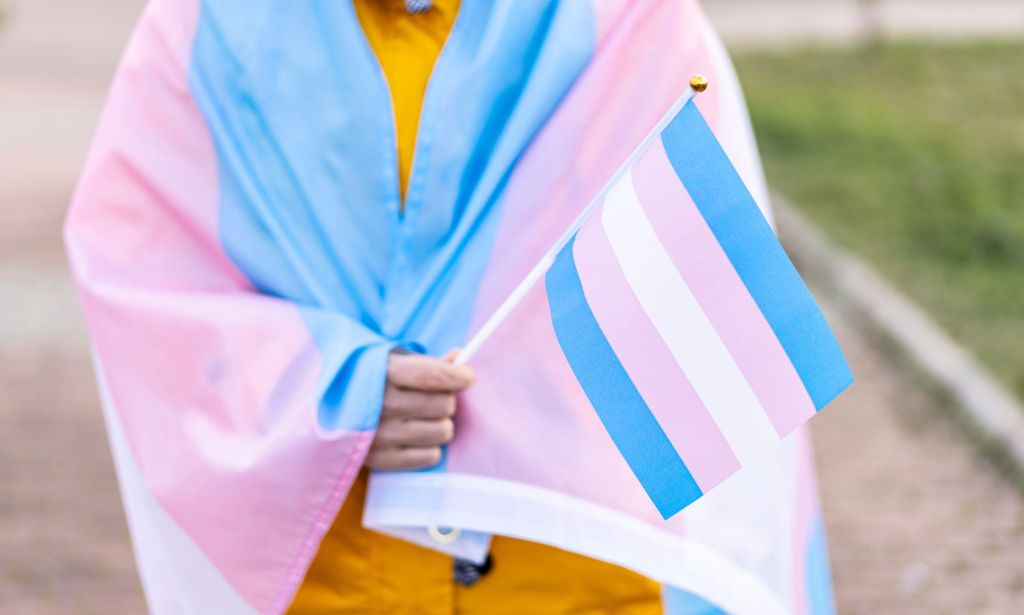 A person holding a trans flag.