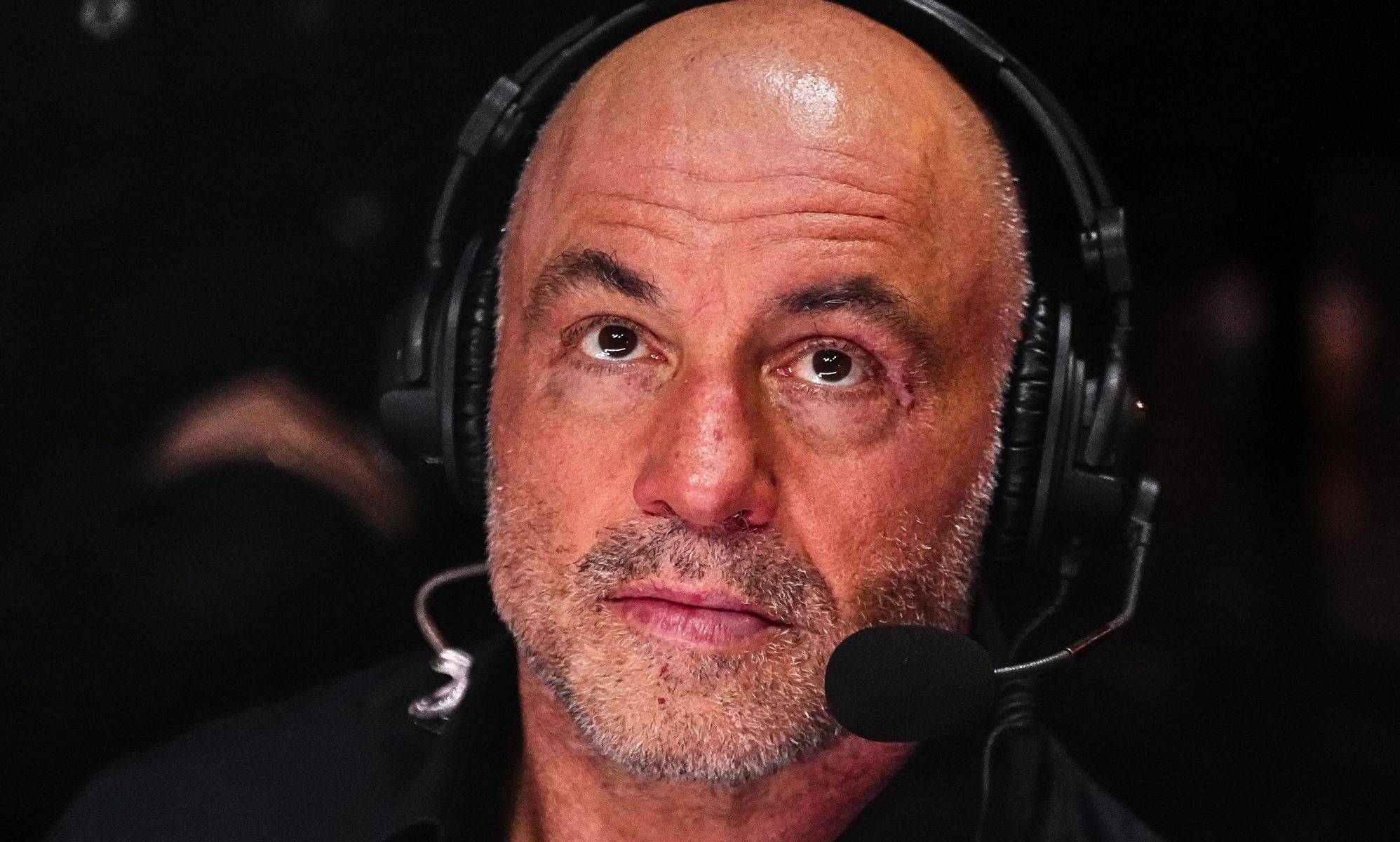 Joe Rogan endorses Donald Trump, surprising absolutely no one