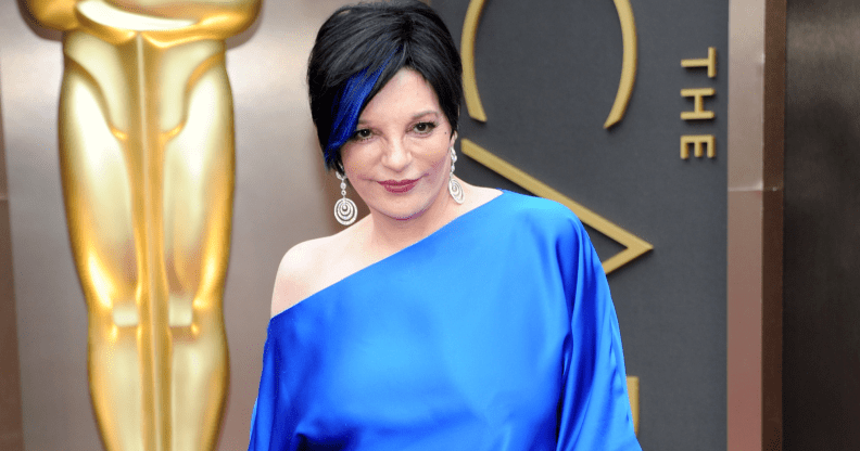 Liza Minnelli pictured in 2014.