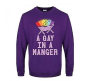 A purple Christmas jumper with a rainbow over a crib and the text 'a gay in a manger' from Debenhams