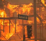 Image of a road sign reading "Sunset Boulevard" seen during devastating wildfires in LA, California