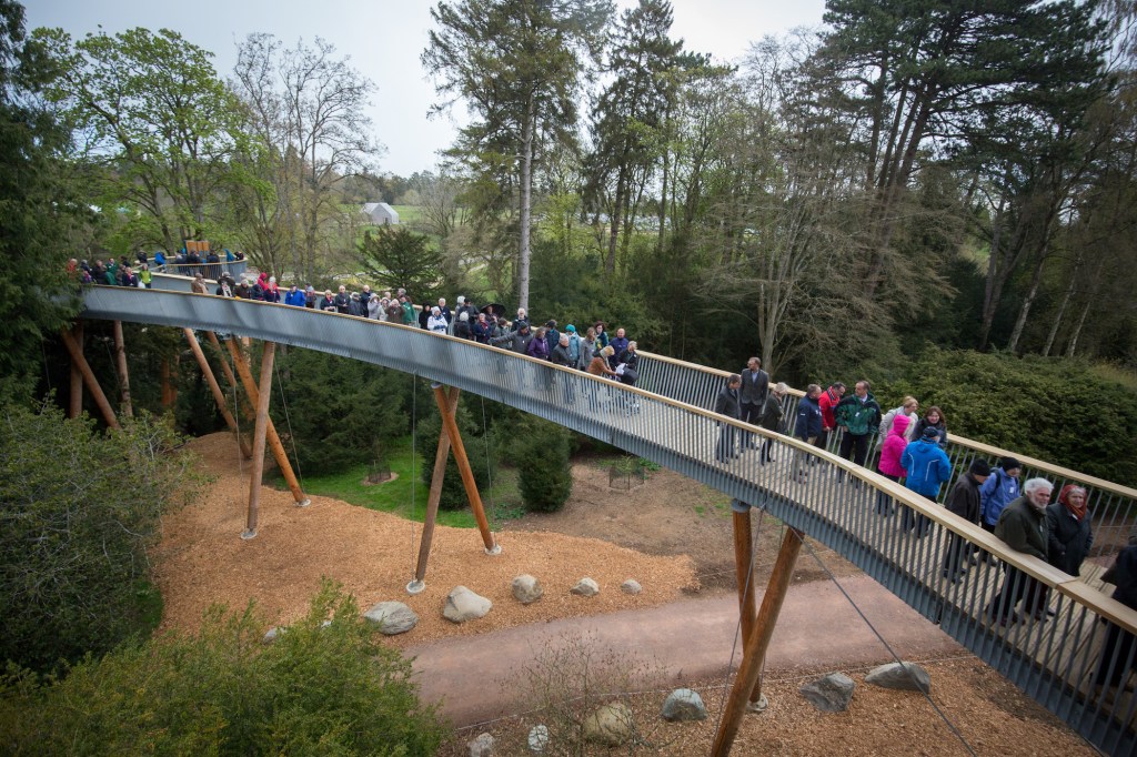 TETBURY, ENGLAND - APRIL 26: Visitors experience Westonbirt's new treetop walkway at Westonbirt Arboretum on April 26, 2016 in Tetbury, England. The 300m long treetop walkway built in the Forestry Commission's National Arboretum is the longest in the UK and will offer a birds eye view from the top of the 13 metre high walkway of some of the woodland's 15000 trees. (Photo by Matt Cardy/Getty Images)