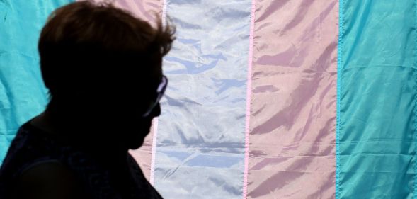 A silhouette in front of a trans flag.