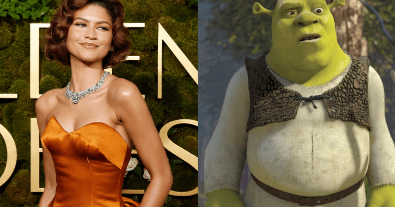 Split photo of Zendaya and Shrek.