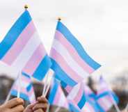 trans flags