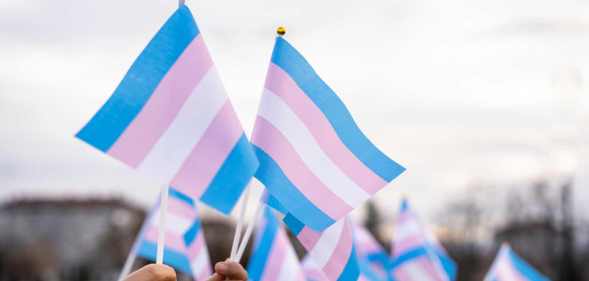 trans flags