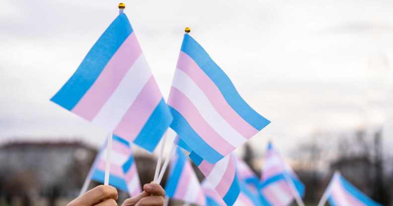 trans flags