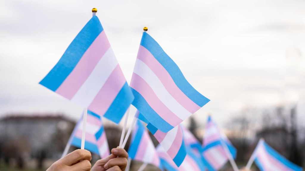 trans flags