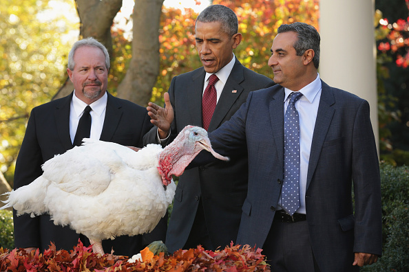 WASHINGTON, DC - NOVEMBER 25:  U.S. President Barack Obama (C) "pardons" Abe, a 42-pound male turkey during a ceremony with National Turkey Federation Chairman Jihad Douglas (R) and turkey farmer Joe Hedden in the Rose Garden at the White House  November 25, 2015 in Washington, DC. In a tradition dating back to 1947, the president pardons a turkey, sparing the tom -- and his alternate -- from becoming a Thanksgiving Day feast. This year, Americans were asked to choose which of two turkeys would be pardoned and to cast their votes on Twitter.  (Photo by Chip Somodevilla/Getty Images)