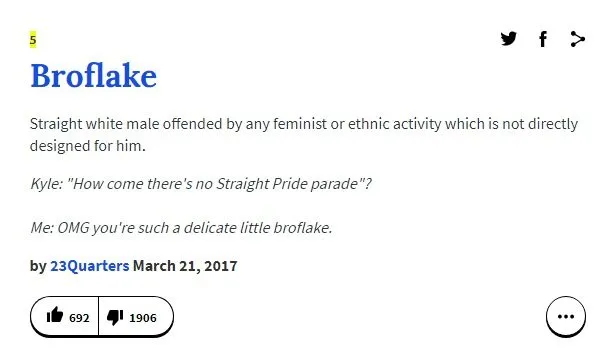 Urban Dictionary defines Broflake