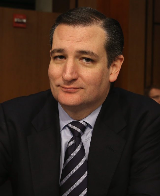 WASHINGTON, DC - JANUARY 28: U.S. Sen. Ted Cruz (R-TX) waits for the start of Loretta Lynch's confirmation hearing before the Senate Judiciary Committee January 28, 2015 on Capitol Hill in Washington, DC. If confirmed by the full Senate Ms. Lynch will succeed Eric Holder as the next U.S. Attorney General. (Photo by Mark Wilson/Getty Images)