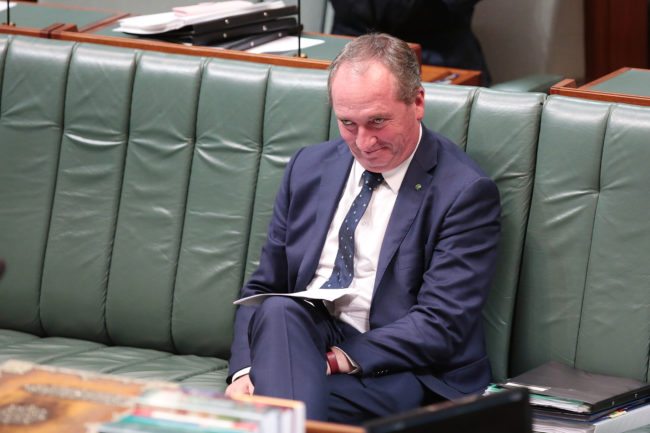 CANBERRA, AUSTRALIA - MAY 09:  Deputy Prime Minister Barnaby Joyce during question time in the House of Representatives at Parliament House on May 9, 2017 in Canberra, Australia. The Government will identify key areas including using pre-income tax to assist first home buyers, details on the Western Sydney Airport and funding to assist with schools.  (Photo by Stefan Postles/Getty Images)