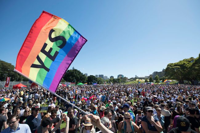 Thousands gather in Prince Alfred Park in Sydney for the result of the vote (Photo by Cole Bennetts/Getty Images)