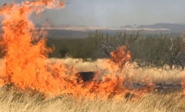 A wildfire engulfed large swathes of Arizona in April