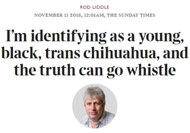 Rod Liddle's column about transgender people
