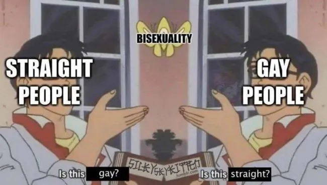 Two men gesture towards a butterfly labelled “bisexuality,” with the straight person asking: “Is this gay?” and the gay man saying: “Is this straight?”