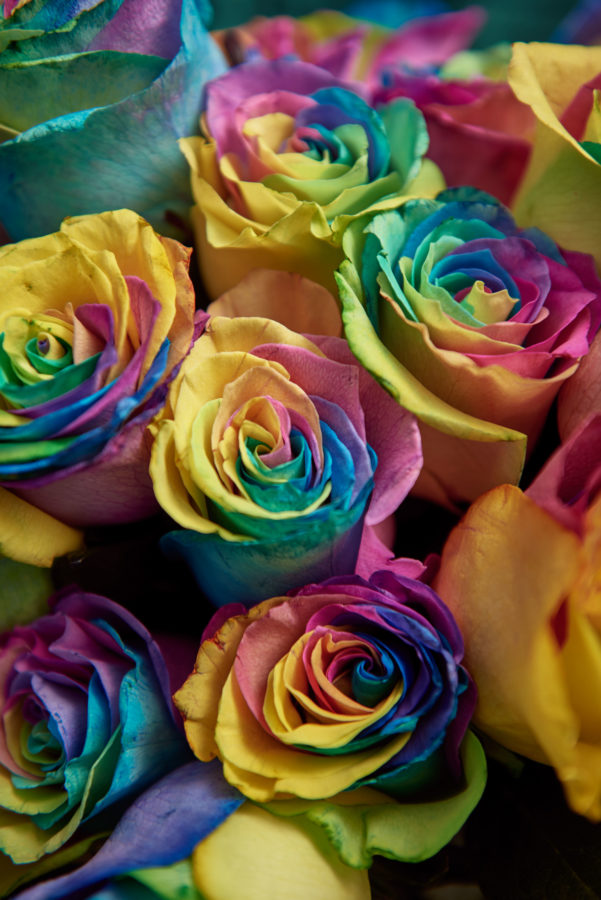 Part of Morrisons The Best range, the Rainbow Rose has been designed so that anyone can give it to anyone else and to support homeless LGBT youth on Valentine's Day.