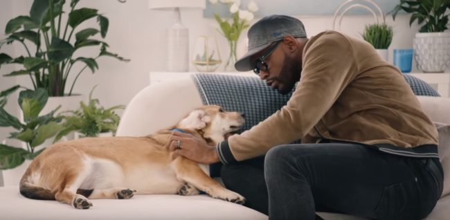 Fab Five: Karamo Brown of Queer Eye's Fab Five make over rescue dog Lacey