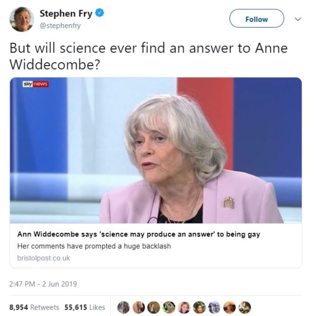 'Poisonous' Ann Widdecombe dragged for gay cure comments | PinkNews